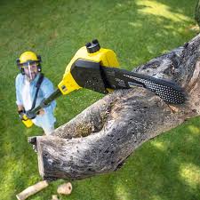 Best Utility Line Clearance  in Kempner, TX